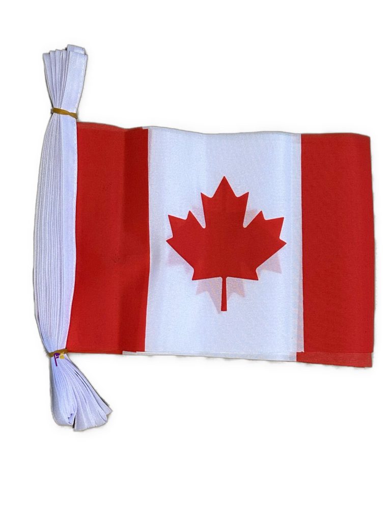 canada-national-flags-small-3-metre-10-flags-bunting-emblems-gifts